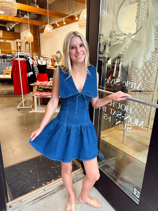 Danielle Denim Dress