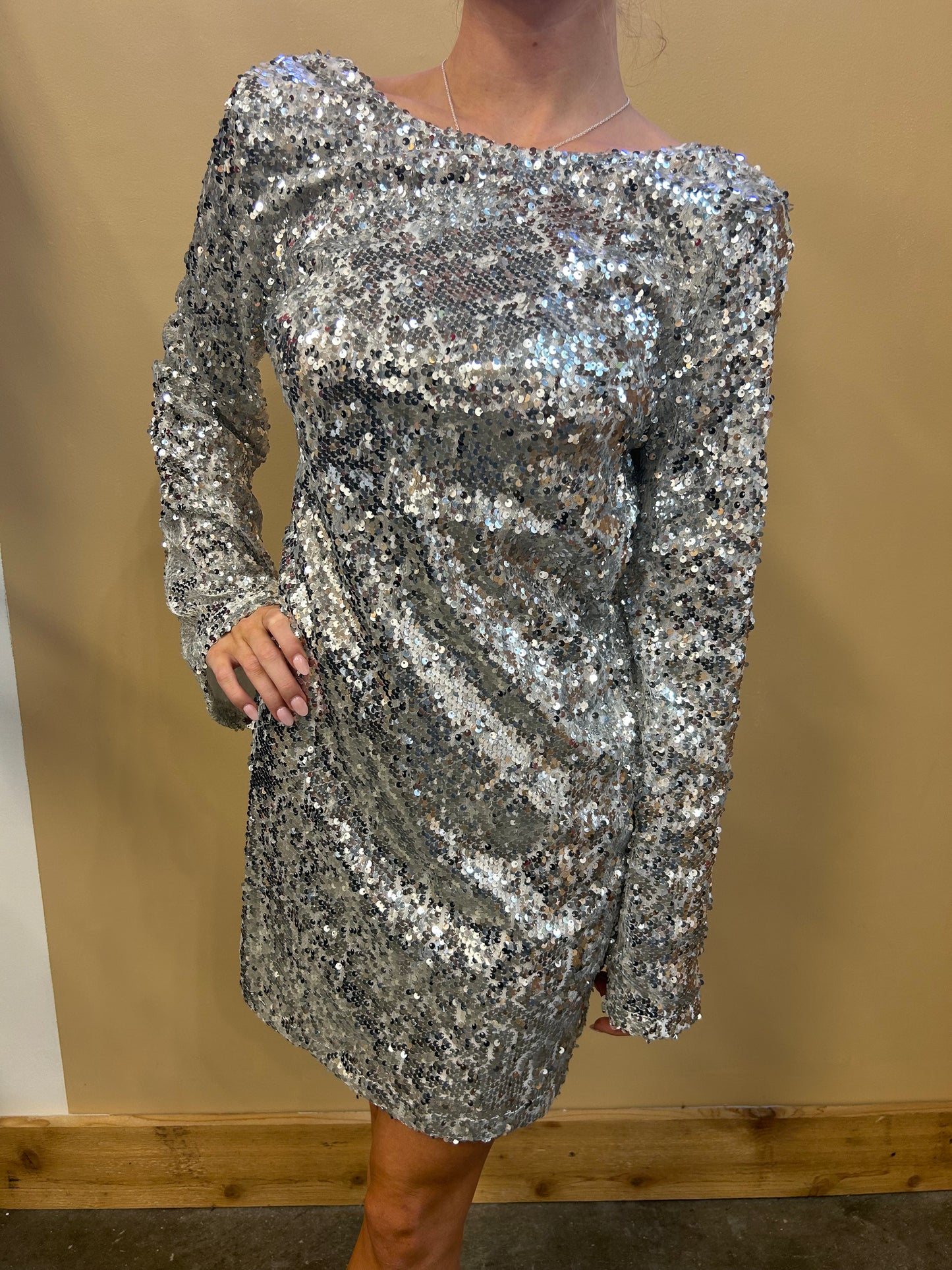 Shimmer and Shake Sequin Dress