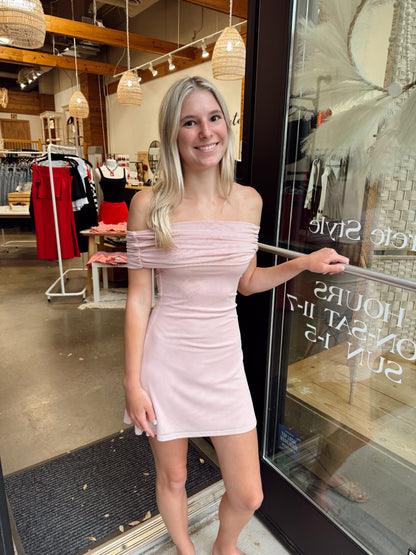 Piper Mesh Mini Dress
