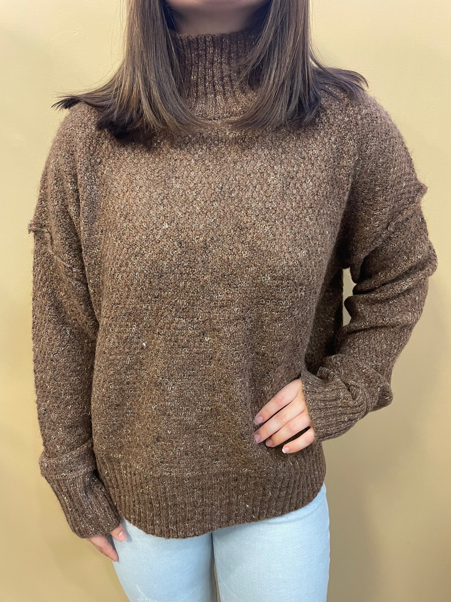 Nadia Turtleneck Sweater