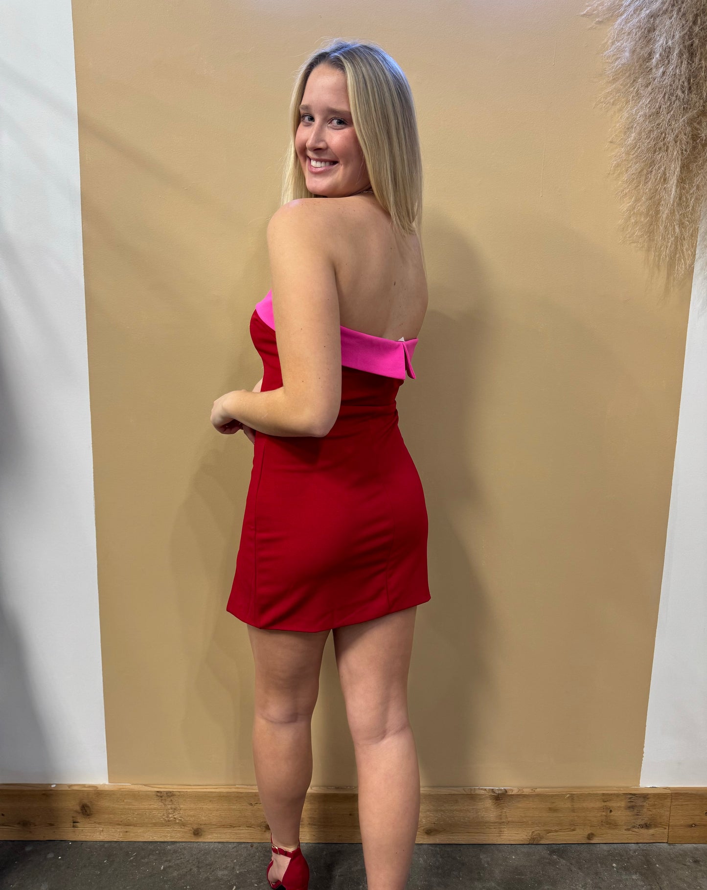 Courtney Colorblock Dress